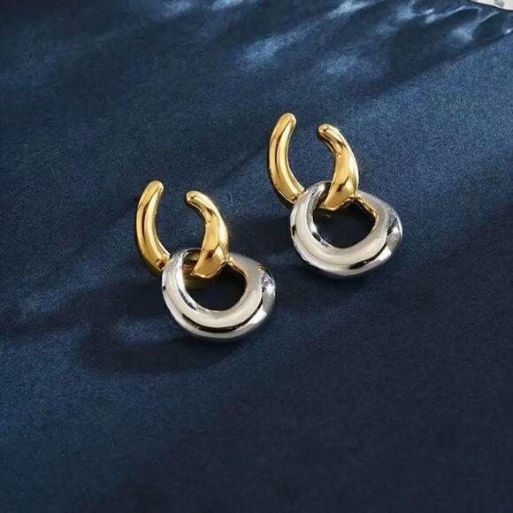 Naked Hanger Double circle geometric two toned stud earrings - Picture 2 of 6